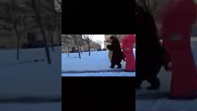 Медведь  танцует  лезгинка
