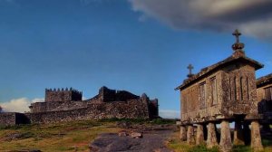 SOLAR FIELDS MOVEMENTS