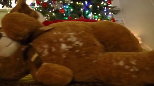 Замечательное Рождество Корги. смотреть онлайн