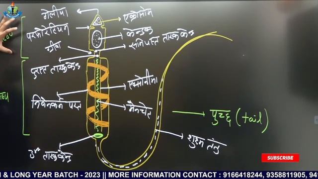 JET || ICAR || CUET || UPCATET || MPPAT || BCECE || अति महत्वपूर्ण क्लास || By Dr. Sameer Sir