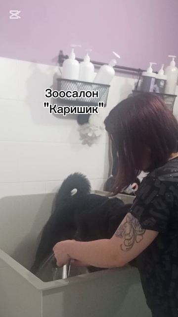 Купание щенка