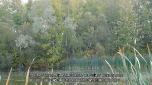 57-летний Брэд Питт снялся в рекламном ролике и произвел фурор в сети