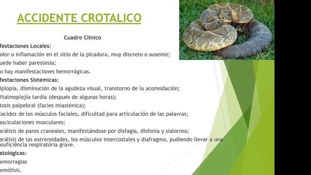 6º Semestre - Primeiros Aux. II - Dr. Hercules Urzedo - 06.04.2020 смотреть онлайн