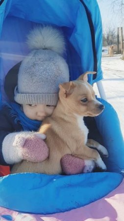 София и Лютик на саночках