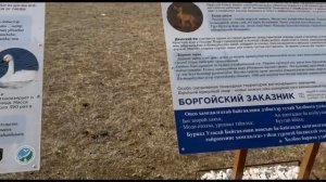 БЕЛОЕ ОЗЕРО 
Боргойский заказник