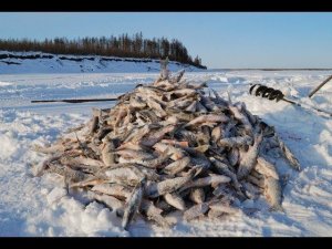 Зимняя рыбалка  на сети в Сибири в жуткий мороз!!!!