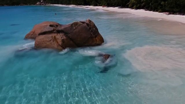 Archelli Findz - Monster/The best video/ смотреть онлайн