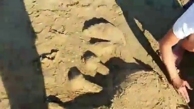 ДЕЛАЮ КРАБА ИЗ ПЕСКА смотреть онлайн