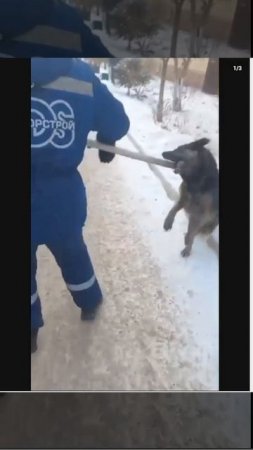 Отлов_КР