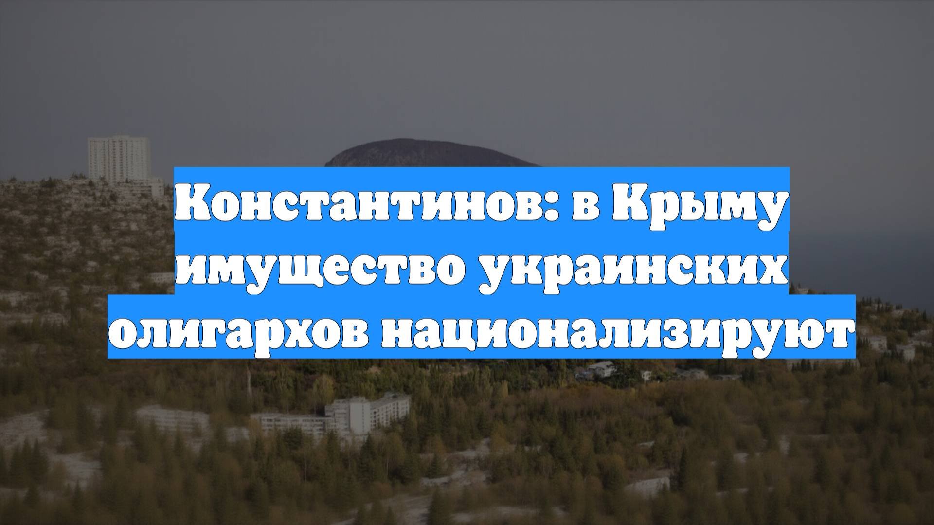 Константинов: в Крыму имущество украинских олигархов национализируют