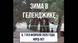 6, 7 и 8 февраля 2025 года, Геленджик, норд-ост опрокидывает автомобили, мазут