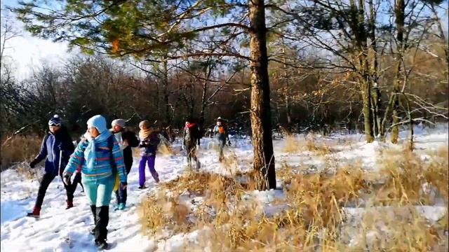 прогулка в зимнем лесу #прекрасно #стараябинарадка #посёлокбереза #волшебно #сосна #леснаясказка