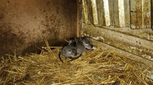 Итоги выходного дня: выезд на природу, вечерняя управа. 02.02.25