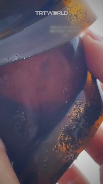 If you see this THING run!😨#shorts смотреть онлайн