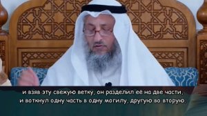 Можно ли Сажать Дерево на Могиле - Усман Аль-Хамис