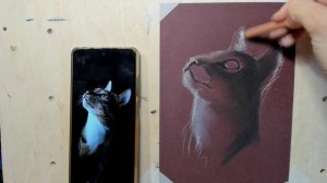 Обзор пастельных карандашей от Гаммы. Часть 1