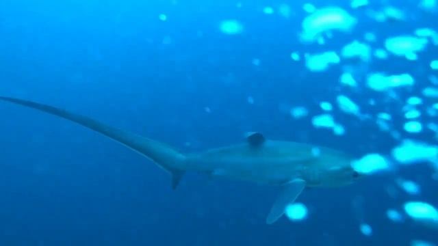 I LOVE THIS GUY... смотреть онлайн