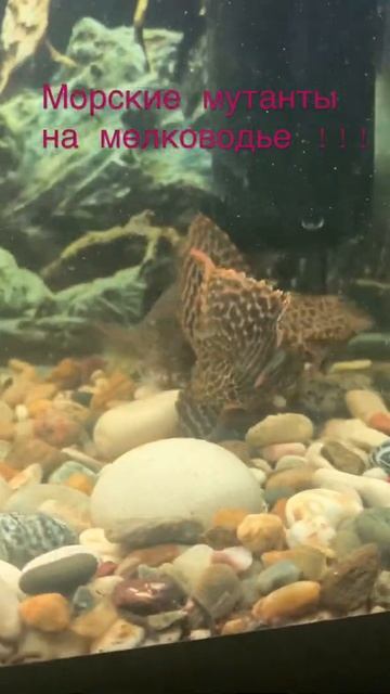 21 февраля 2022 г. смотреть онлайн