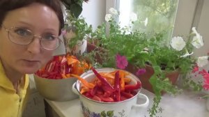 6 соток 18 сентября 2020 года. Лечо на дачу, лечу на дачу. Грущу и шучу на даче.