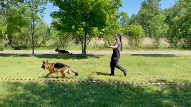 Аксельбруннен Снежинка. Июнь 2023 смотреть онлайн