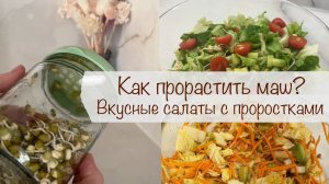 КАК ПРОРАСТИТЬ МАШ? 🌱 ВКУСНЫЕ САЛАТЫ С ПРОРОСТКАМИ 🥗 VEGAN