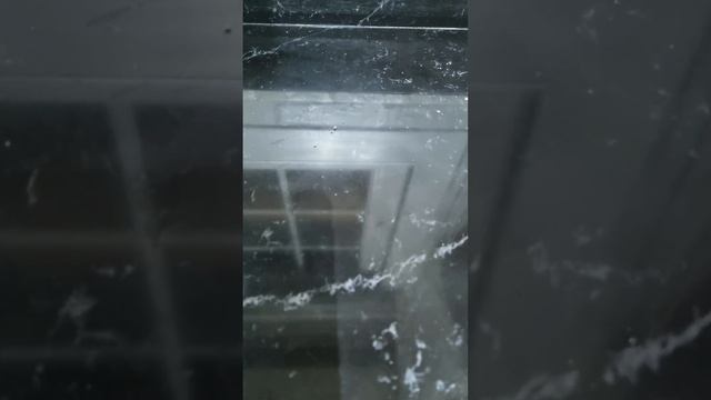 Быстро посолить рыбу