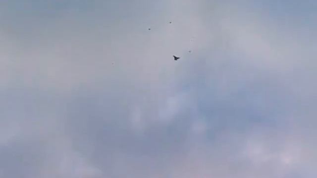 Голуби, завершение нормального гона . смотреть онлайн