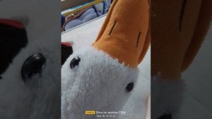 записали песню с моим другом про гуся Обнимуся😎