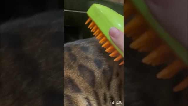 Паровая щетка для вычесывания шерсти отзыв кота🐱 смотреть онлайн