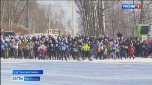 Почти 2 тысячи костромичей вышли на старт традиционной гонки «Лыжня России»