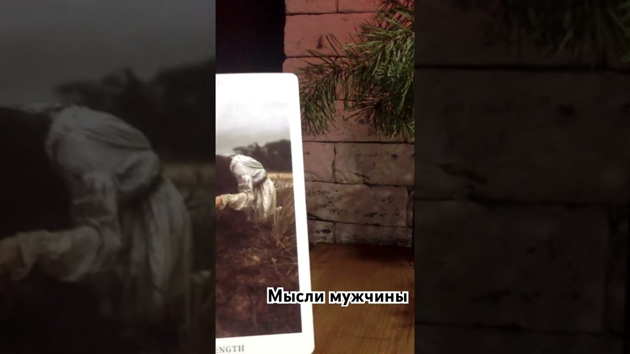 Мысли мужчины #таро #личныерасклады #tarot #отношения #таролог #гаданиянатаро