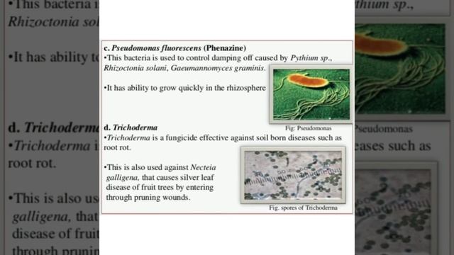 Biopesticides, definition, Introduction ,Advantages, Some important biopesticides, types,Conclussio смотреть онлайн