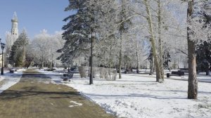 Зимний Ставрополь 8 февраля 2025 года.