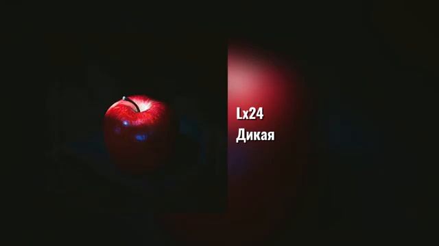 Lx24 - Дикая