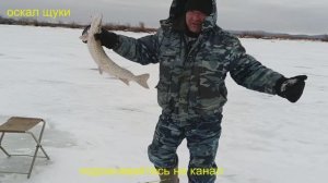 Рыбалка по первому льду на щуку раттлином.
