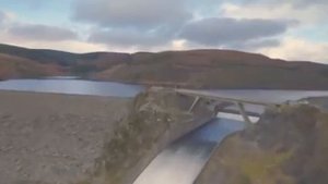 Папито папито