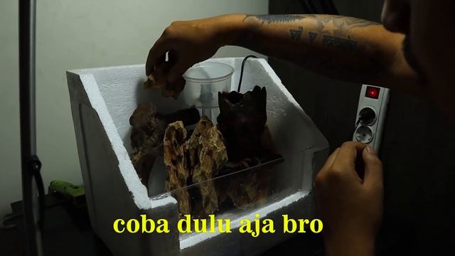 SOCIAL DISTANCING? WORK FROM HOME? MARI KREATIF BIKIN PALUDARIUM DARI STYROFOAM BEKAS !!! смотреть онлайн