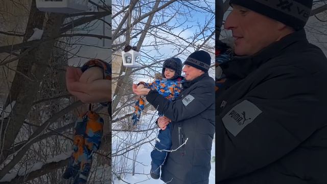 #ЭкологическаяАкцияПокормитеПтицЗимойДсСпутник