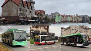 Городской транспорт Калининграда в пасмурный, октябрьский день на Московском пр-те и Рыбной деревне