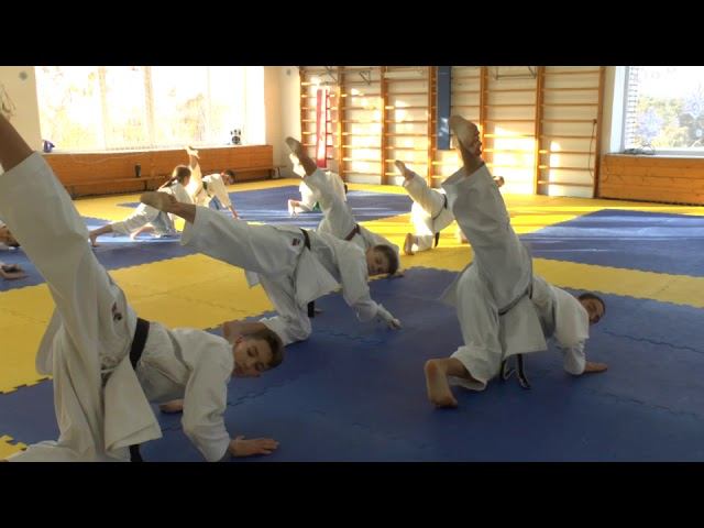 ката СК "БУДО" техника каратэ смотреть онлайн