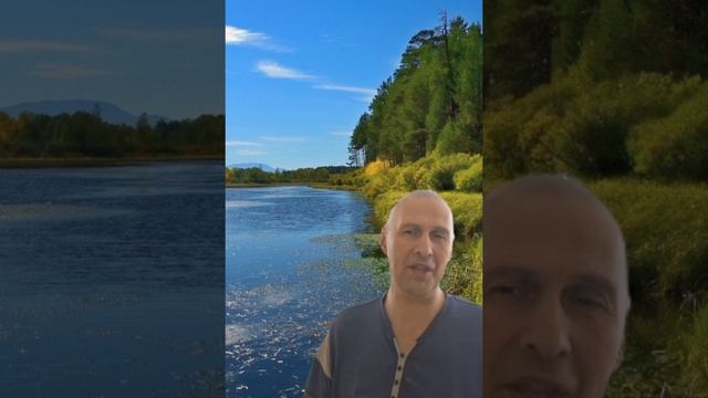 Автор текста — Александр Митта. Автор музыки — Игорь Матвиенко.

Песня для души