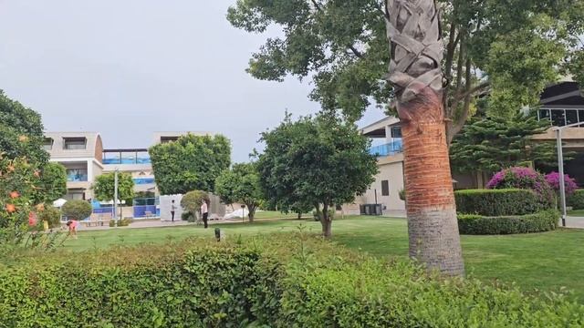 Tui Magic Life Jacaranda 5* один из лучших семейных отелей Сиде #сиде #отпуск смотреть онлайн