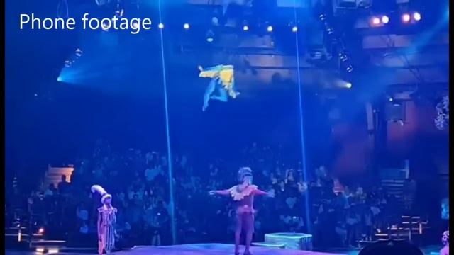 Day 13 | Disney's Animal Kingdom | Olive Garden | Orlando смотреть онлайн