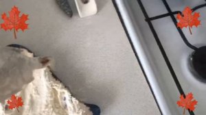 ГОТОВЛЮ КРАСНОПЕРКУ...жарим рыбу 🐟🫧❤️