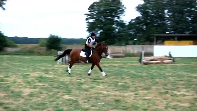 Кубок України з триборства серед молодих вершників та дорослих. Крос. смотреть онлайн