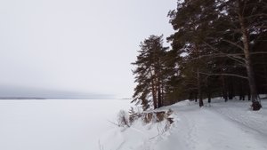 Прогулка по берегу Обского моря. Январь 2025 год.