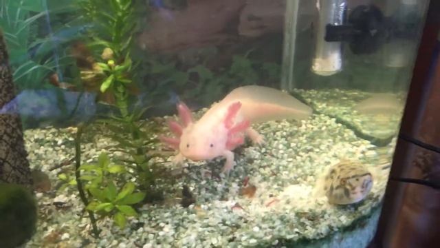 Расход по понятиям,Зина против Марсика!. смотреть онлайн