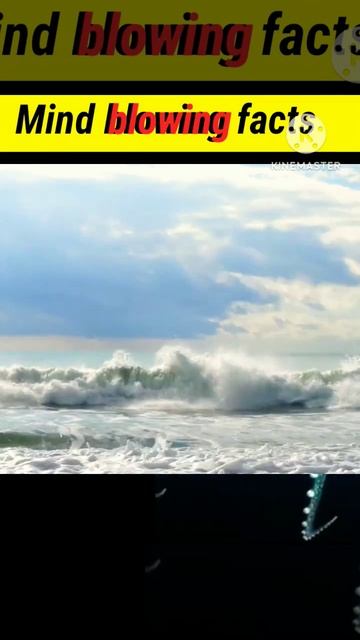 amazing fact|| Mind blowing🤯 fact🔥🔥🔥 #fact #youtubeshorts #trending #viral смотреть онлайн