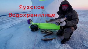 Яузское Водохранилище. Наловил Судака Леща Опять не Поймал
