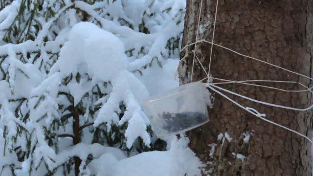 №4529 08 01 2024 Друг за другом смотреть онлайн